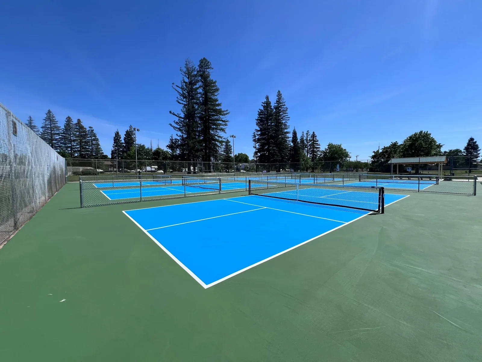 Row of pickleball courts at Carmichael Park