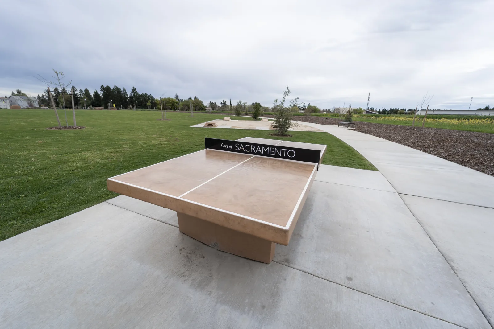 Fong Ranch Park table tennis