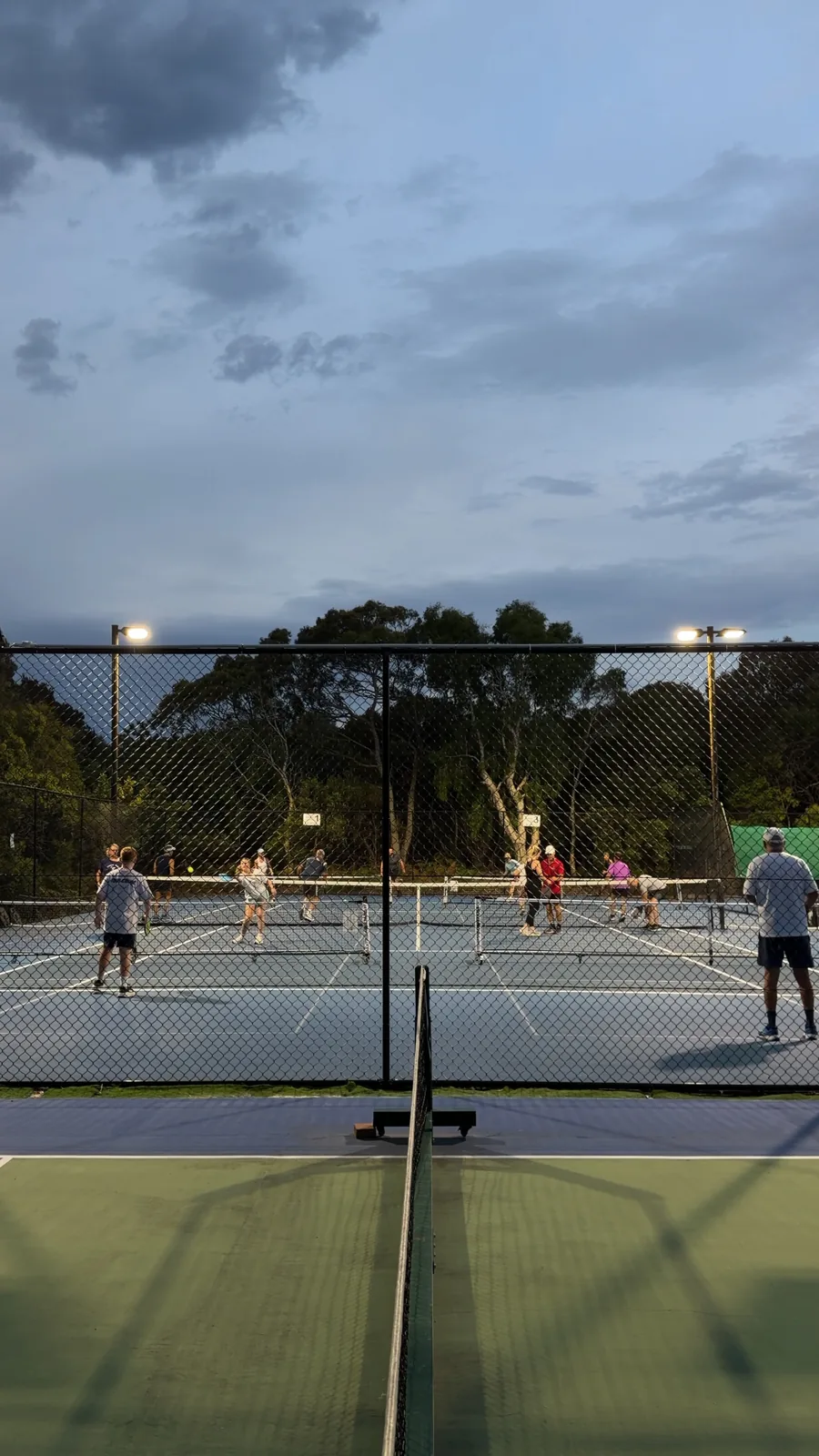 Evening pickleball at Noosa Tennis Club