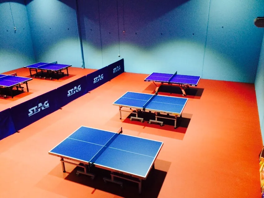 Tables with court surrounds at World Table Tennis Centre