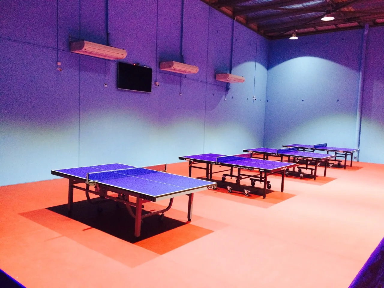 Table tennis hall at World Table Tennis Centre, Fairfield East